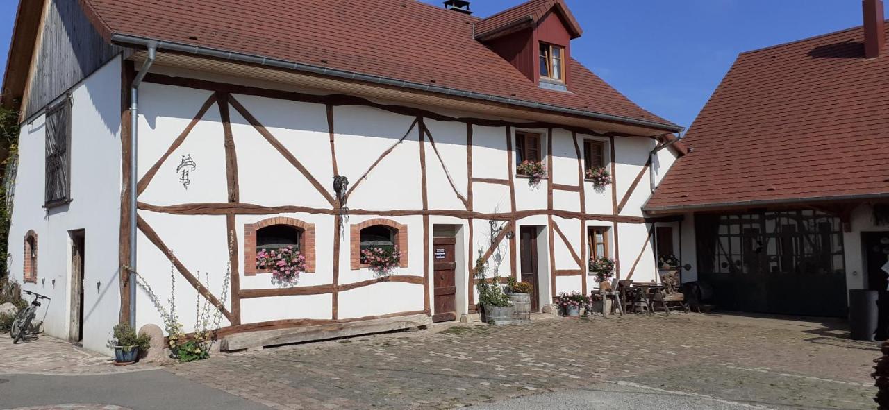 Appartement Aux 3 marteaux à Soppe-le-Haut Extérieur photo